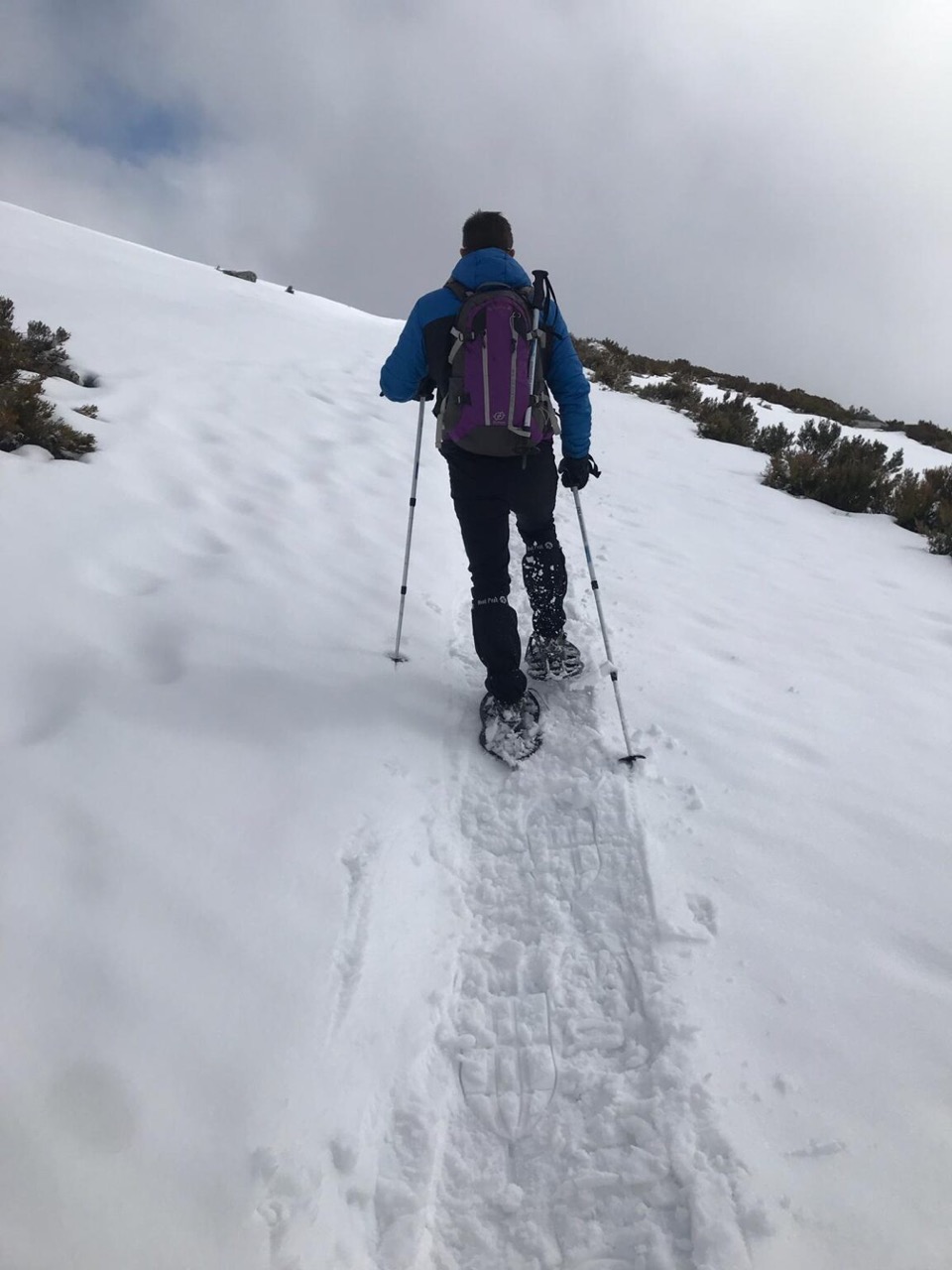 Raquetas de nieve