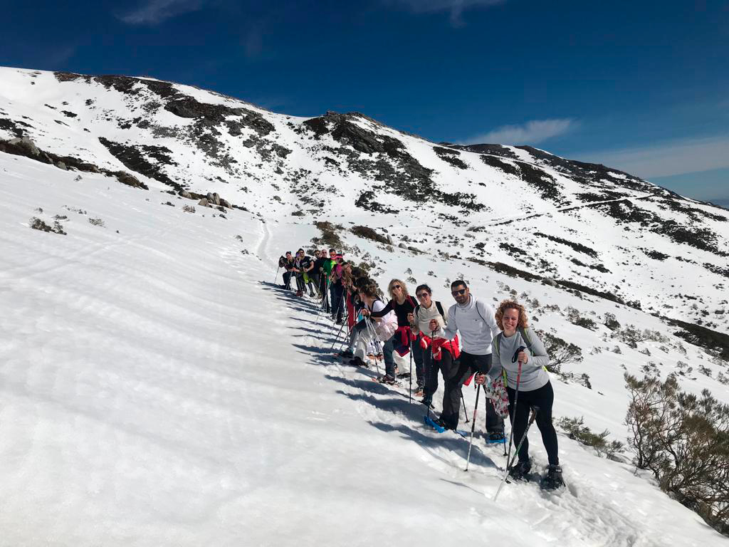Raquetas de nieve