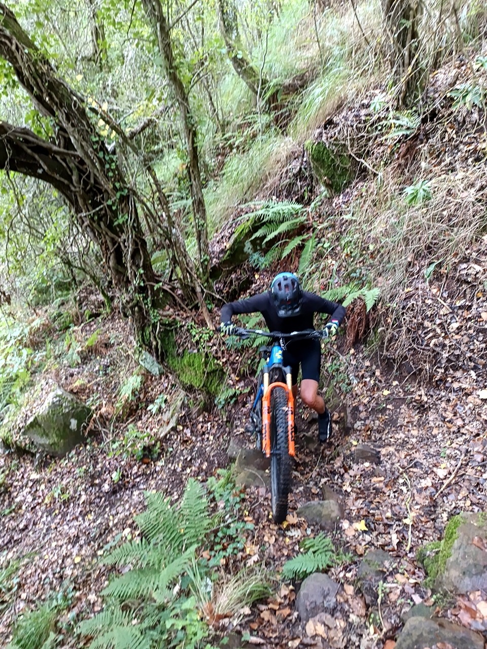 Rutas del Saja